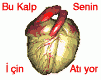 /album/resim-galerisi/a13rq2-1-kopya-gif/